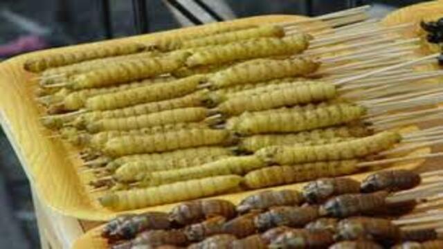 5 Kuliner Ekstrem dari Indonesia